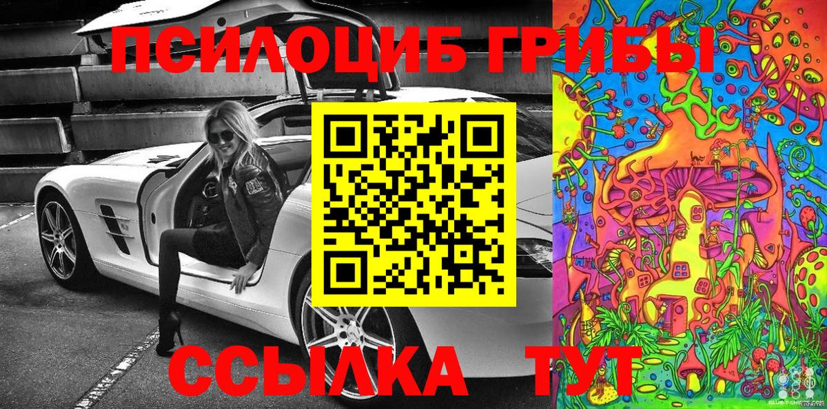 Галлюциногенные грибы Psilocybine cubensis Тольятти